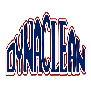 DynaClean Professional Services