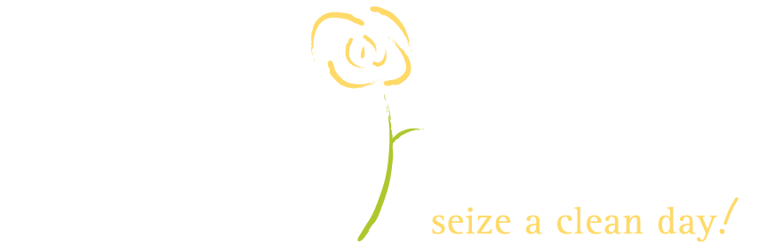 Carpe Diem Cleaning