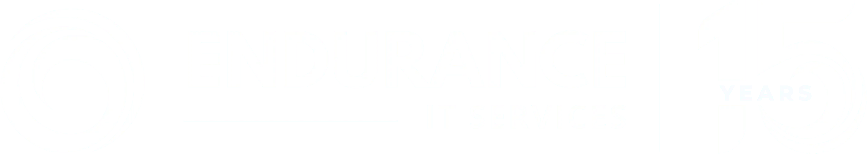 Endurance IT Services