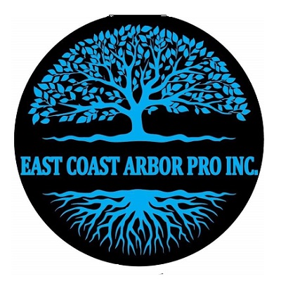 East Coast Arbor Pro Inc.