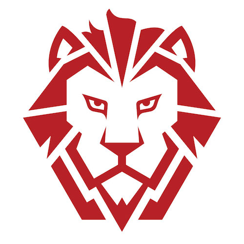 Fidelitas - Digital Marketing Agency