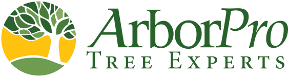 ArborPro Tree Experts