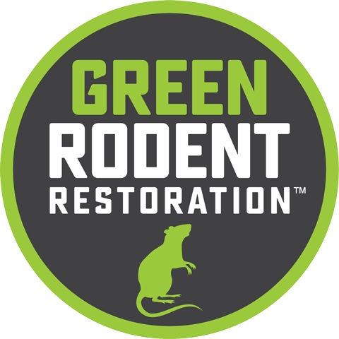 Rodent Control & Attic Insulation in Edison, NJ - Green Rodent