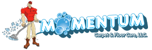 MOMENTUM CARPET & FLOOR CARE LLC