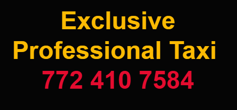 Exclusive Professional Taxi and Transportation Service