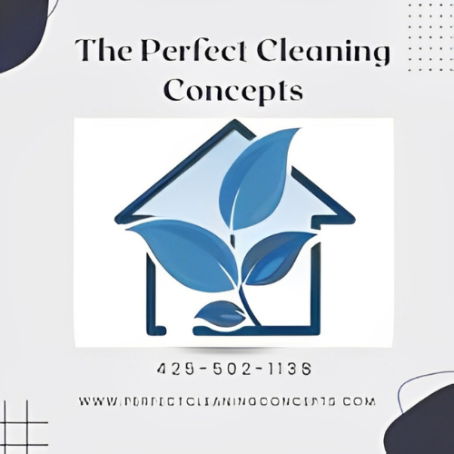 The Perfect Cleaning Concepts