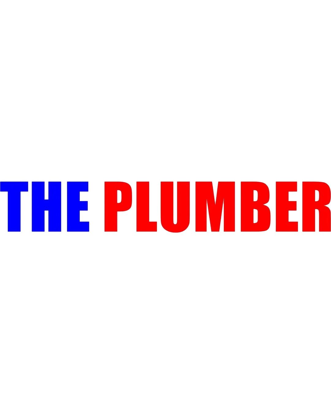 The Plumber
